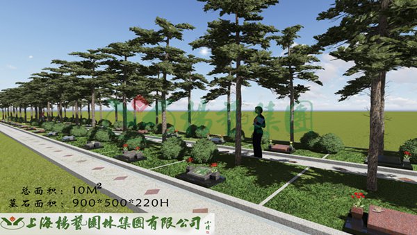 明升mansion88(中国游)最新官方网站