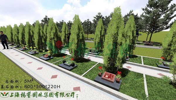 明升mansion88(中国游)最新官方网站