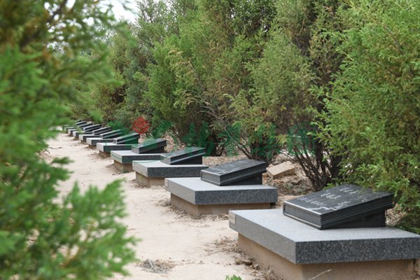 明升mansion88(中国游)最新官方网站