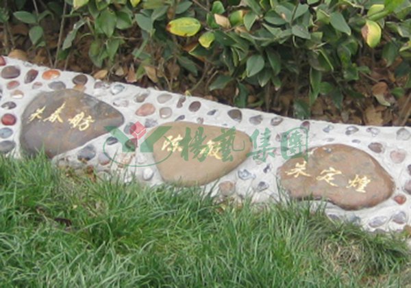 明升mansion88(中国游)最新官方网站