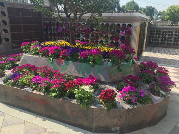 明升mansion88(中国游)最新官方网站