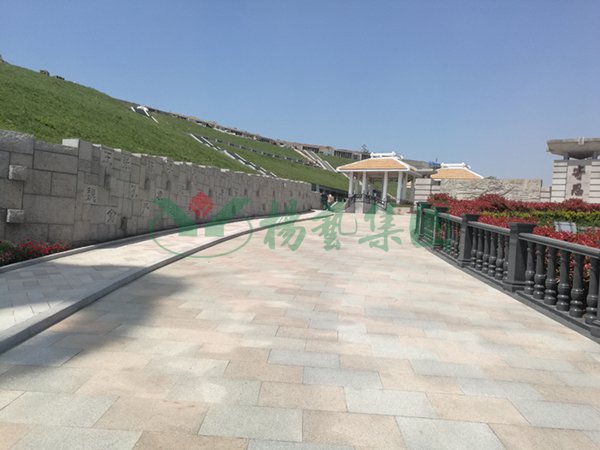 明升mansion88(中国游)最新官方网站