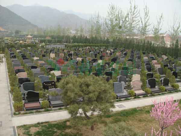 明升mansion88(中国游)最新官方网站