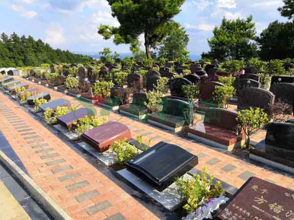 明升mansion88(中国游)最新官方网站