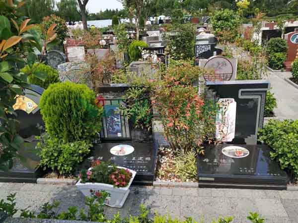 明升mansion88(中国游)最新官方网站