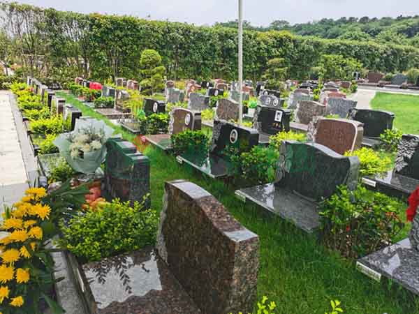 明升mansion88(中国游)最新官方网站