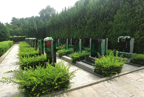 明升mansion88(中国游)最新官方网站