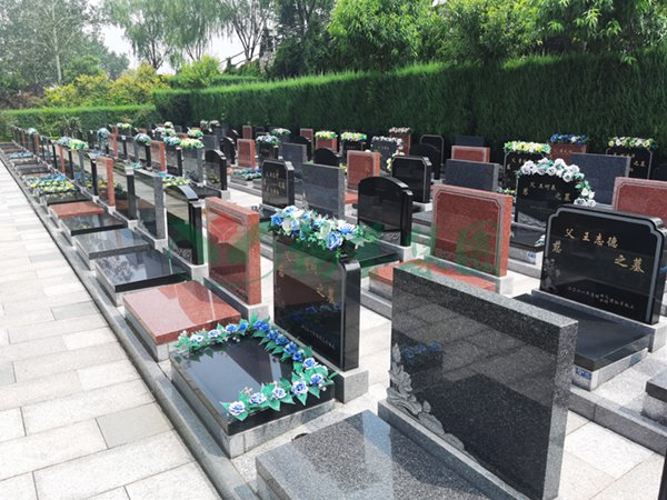 明升mansion88(中国游)最新官方网站