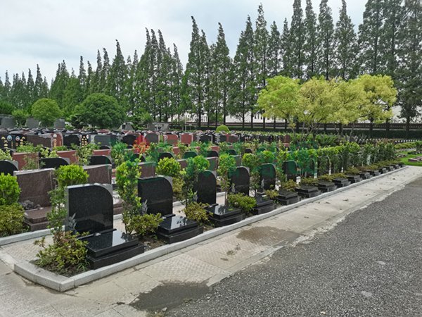 明升mansion88(中国游)最新官方网站