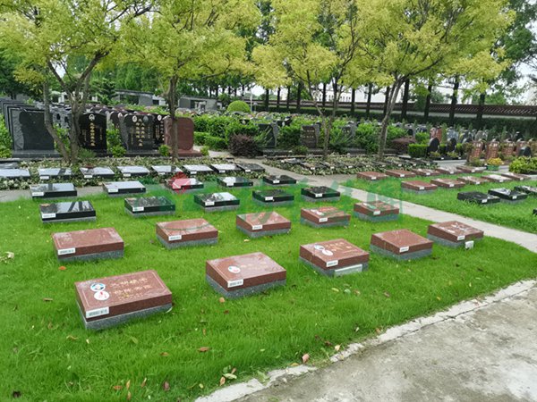 明升mansion88(中国游)最新官方网站