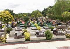 上；；；；；懔靶腔鹎