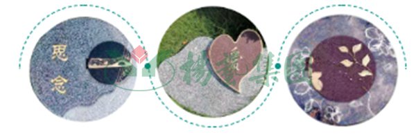 明升mansion88(中国游)最新官方网站