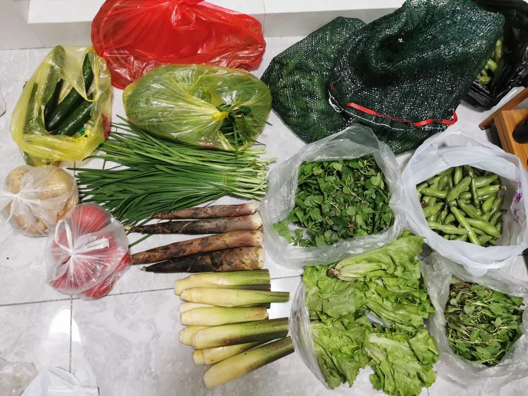 明升mansion88(中国游)最新官方网站