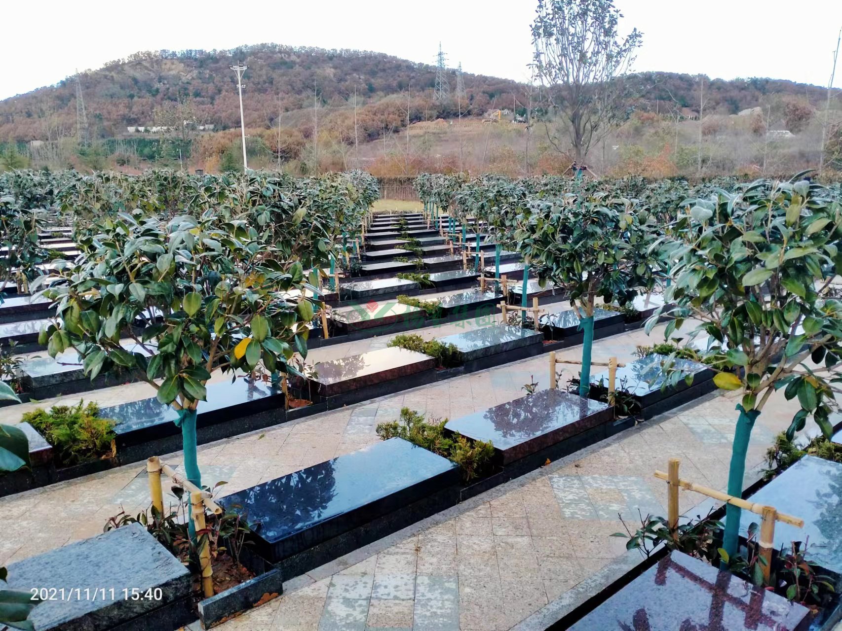 明升mansion88(中国游)最新官方网站