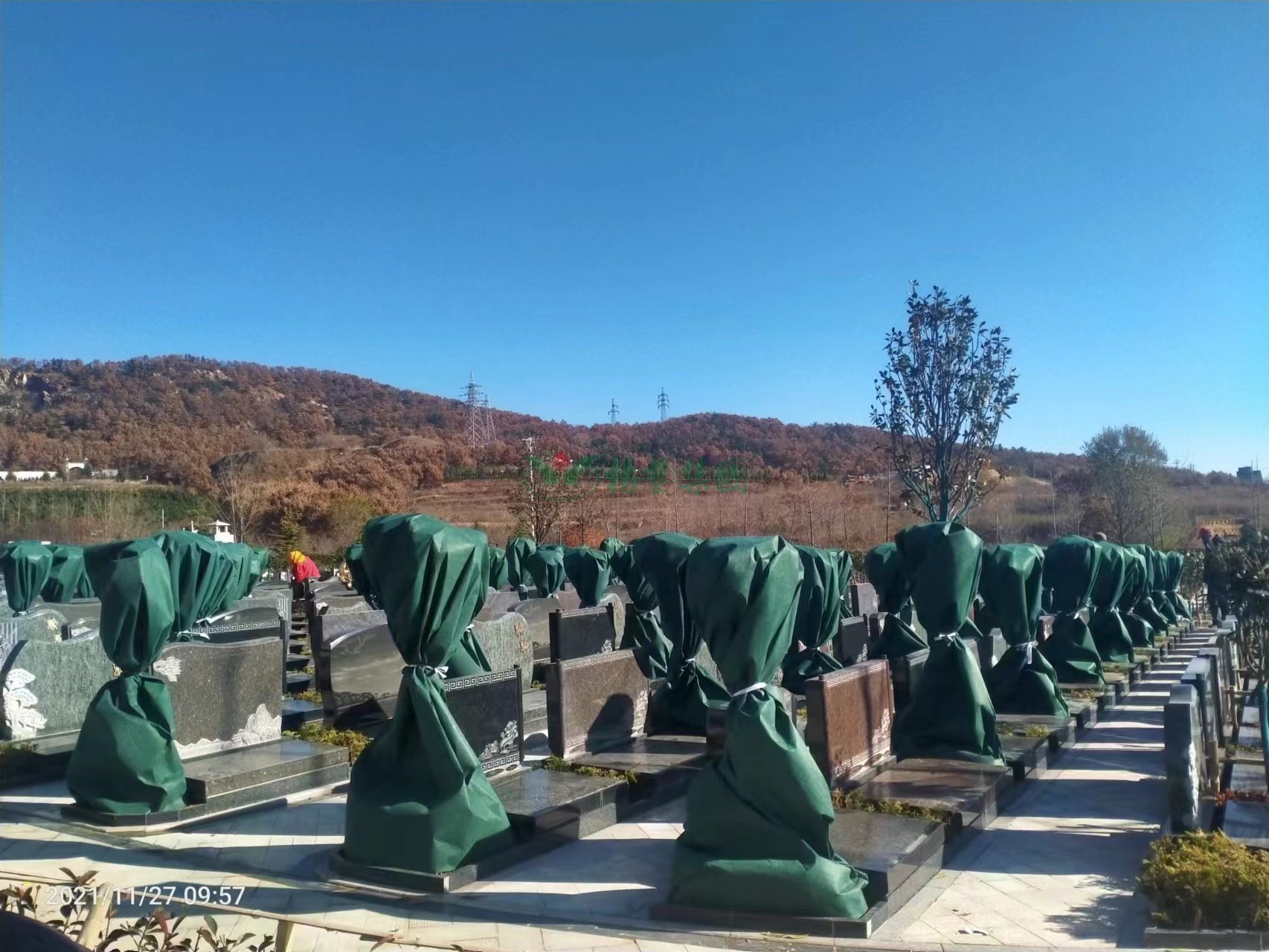 明升mansion88(中国游)最新官方网站