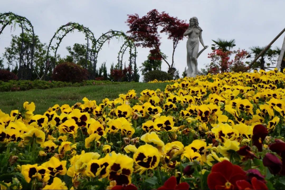 明升mansion88(中国游)最新官方网站