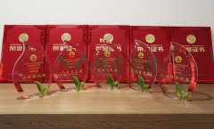 “明升mansion88杯”浙江省节地生态埋葬设计作品奖