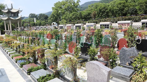 明升mansion88(中国游)最新官方网站