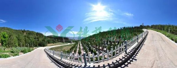 明升mansion88(中国游)最新官方网站