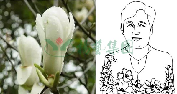 明升mansion88(中国游)最新官方网站