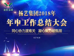 明升mansion88集团2018年中总结报告（摘要）
