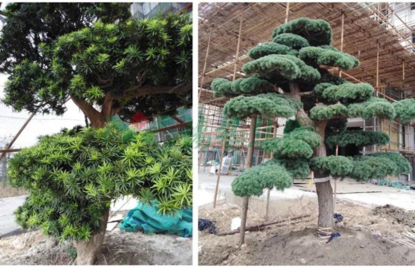 明升mansion88(中国游)最新官方网站