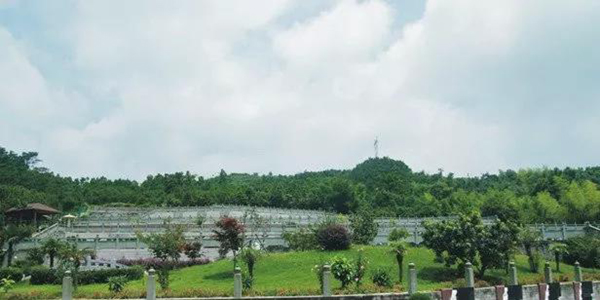 明升mansion88(中国游)最新官方网站