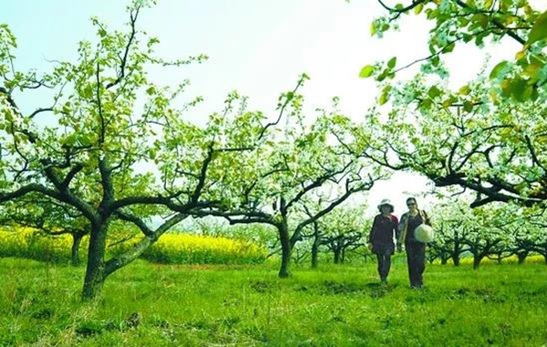 明升mansion88(中国游)最新官方网站