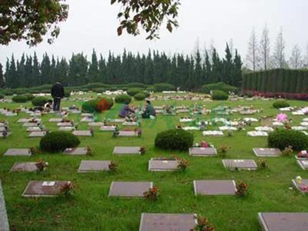 明升mansion88(中国游)最新官方网站