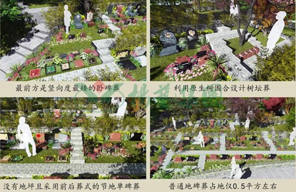 明升mansion88(中国游)最新官方网站