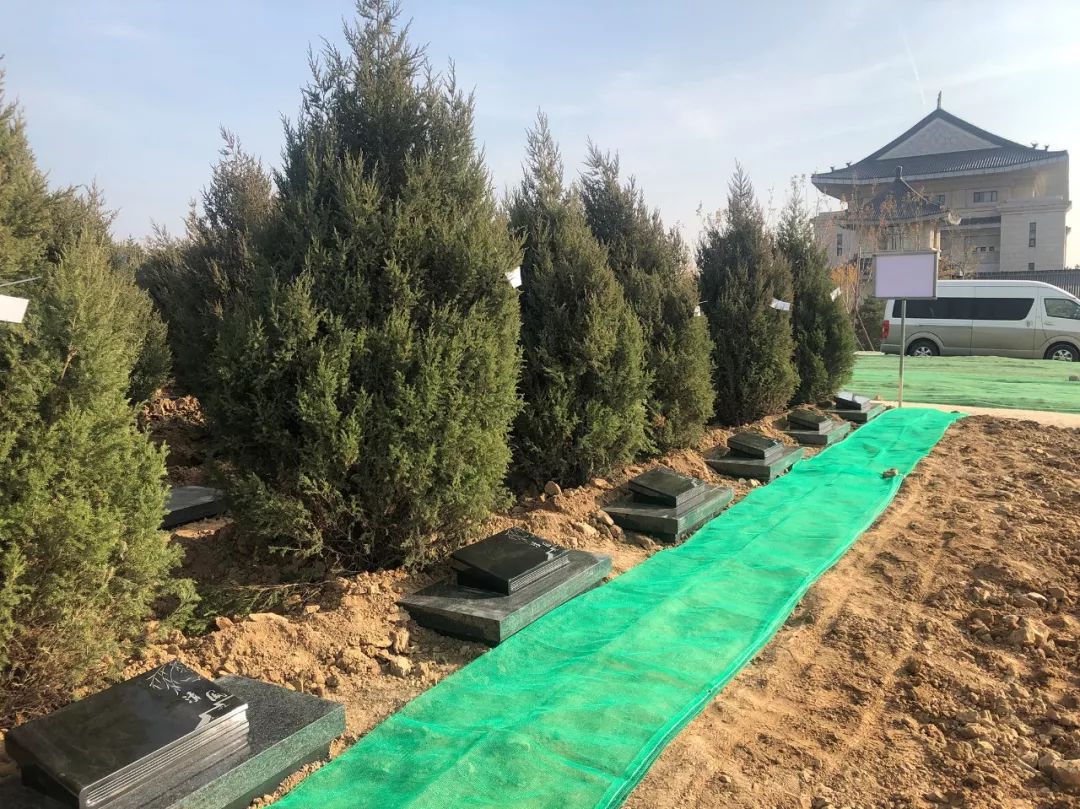 明升mansion88(中国游)最新官方网站