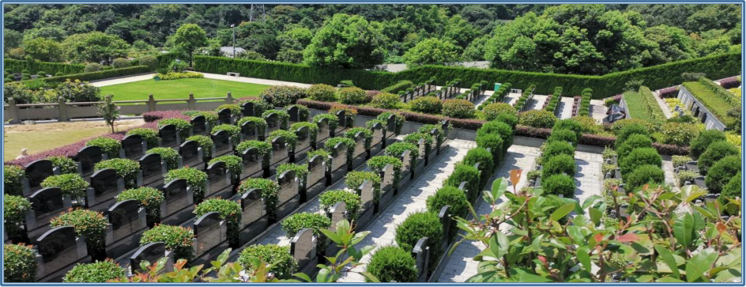 明升mansion88(中国游)最新官方网站