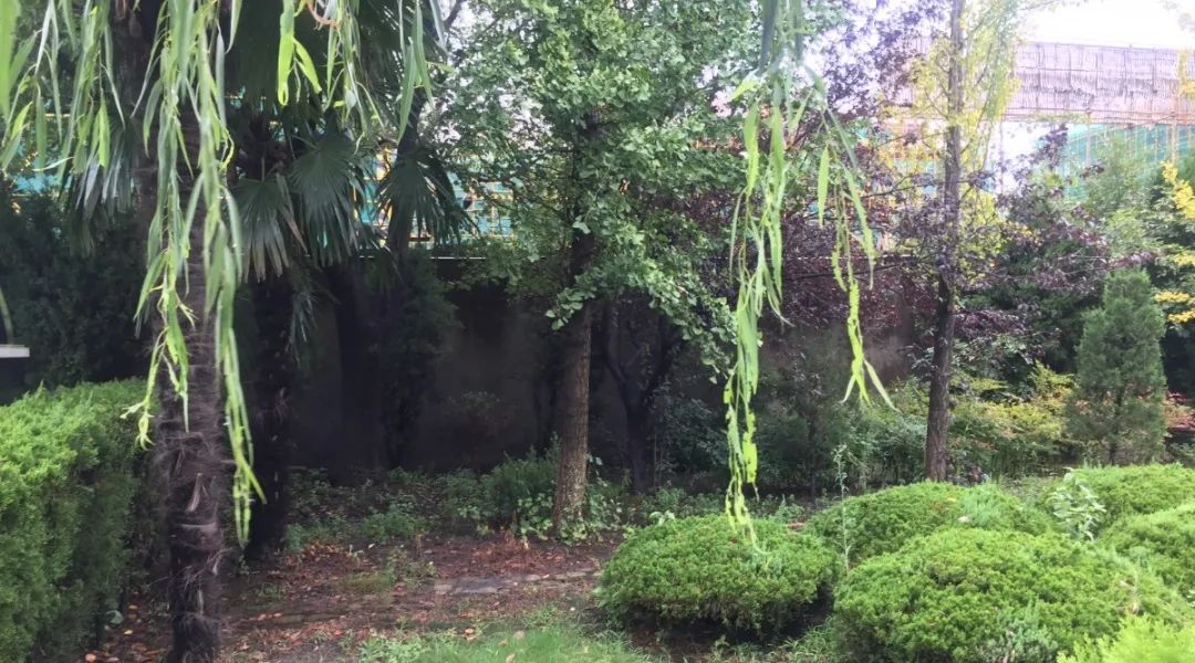 明升mansion88(中国游)最新官方网站