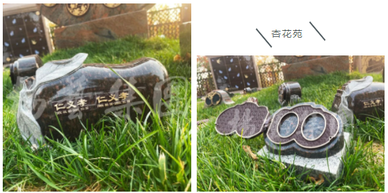 明升mansion88(中国游)最新官方网站