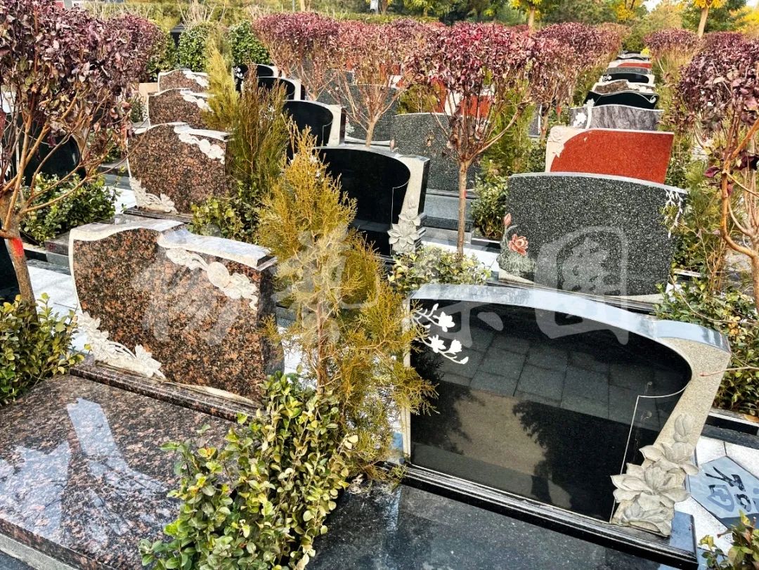 明升mansion88(中国游)最新官方网站