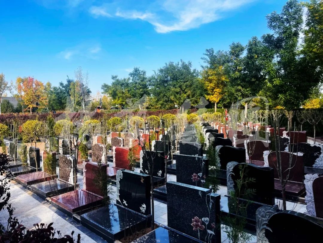 明升mansion88(中国游)最新官方网站