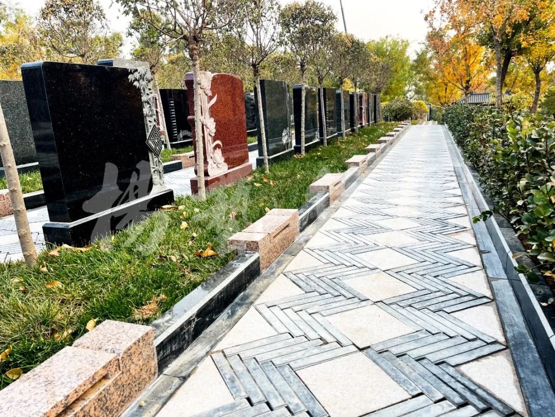 明升mansion88(中国游)最新官方网站