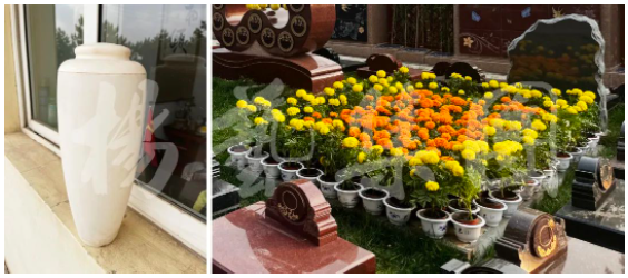 明升mansion88(中国游)最新官方网站