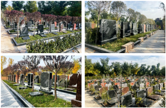 明升mansion88(中国游)最新官方网站