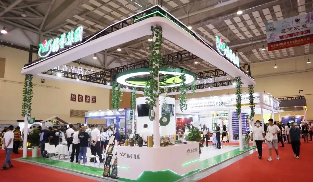 明升mansion88(中国游)最新官方网站