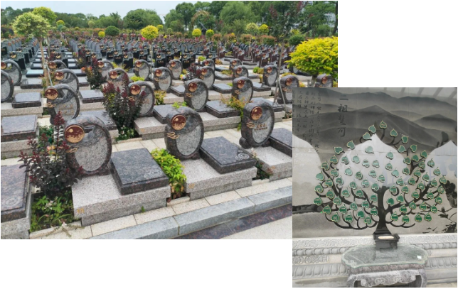 明升mansion88(中国游)最新官方网站