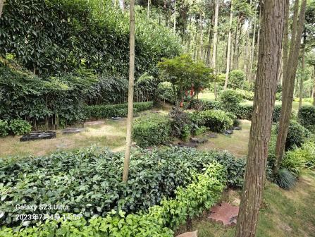 明升mansion88(中国游)最新官方网站