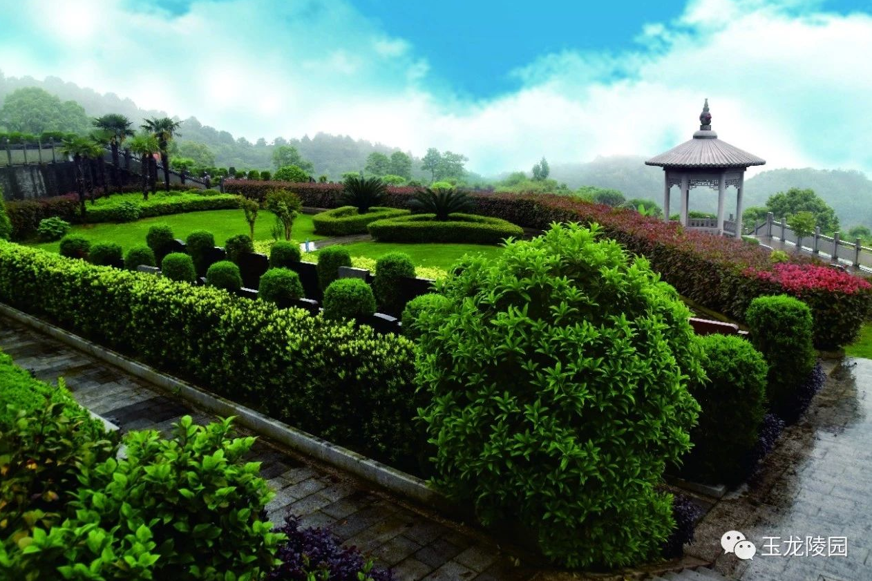 明升mansion88(中国游)最新官方网站