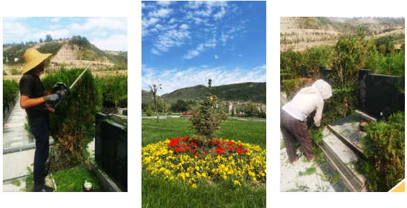 明升mansion88(中国游)最新官方网站