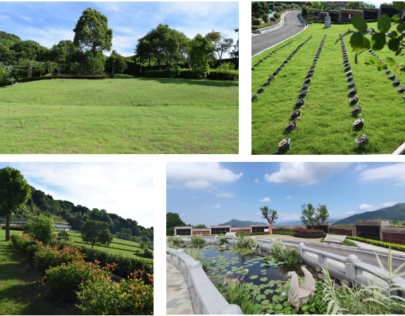 明升mansion88(中国游)最新官方网站