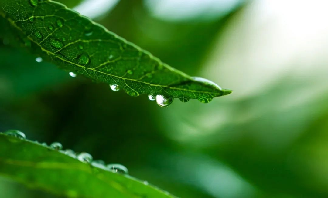 明升mansion88(中国游)最新官方网站