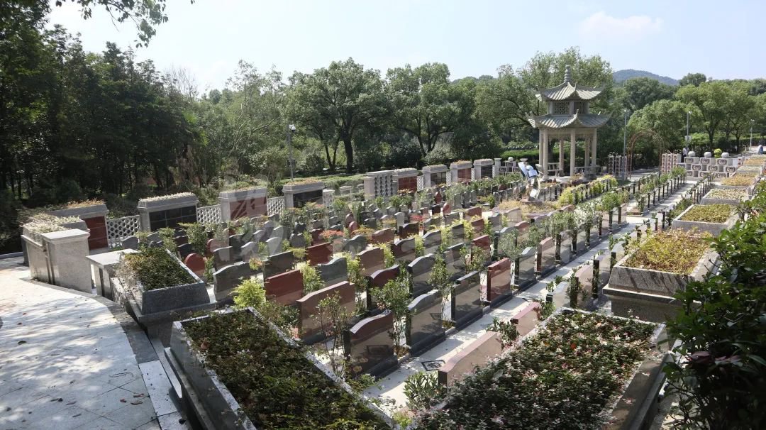 明升mansion88(中国游)最新官方网站