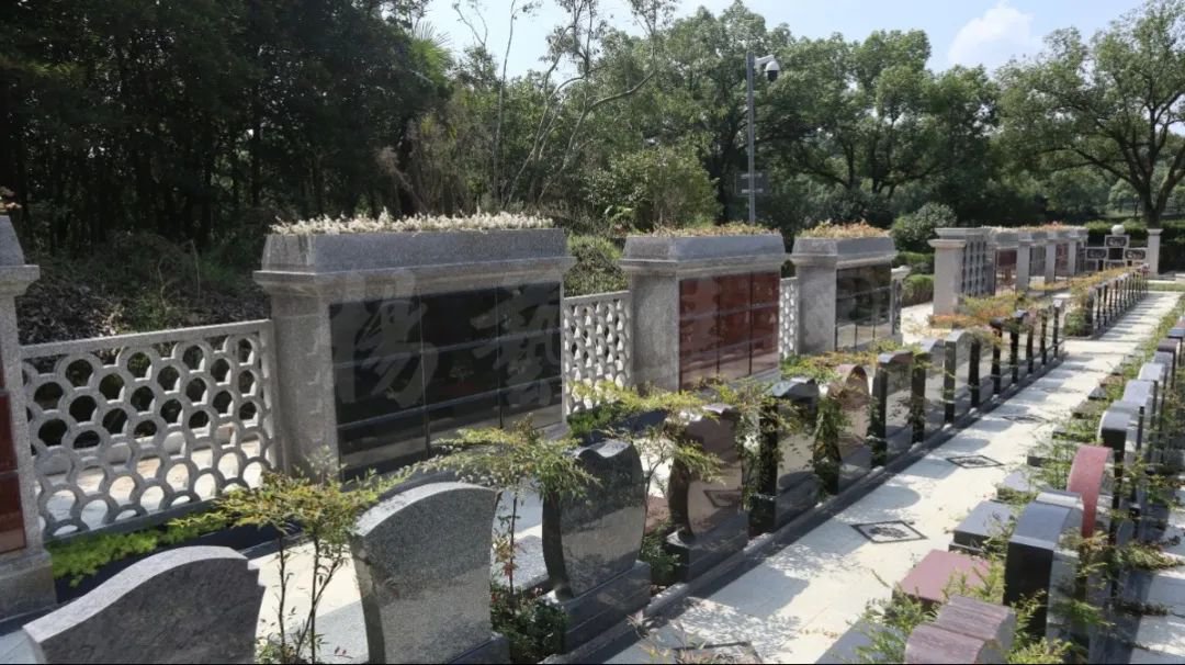 明升mansion88(中国游)最新官方网站