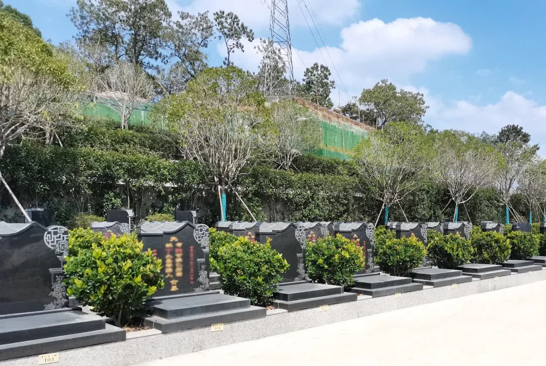 明升mansion88(中国游)最新官方网站