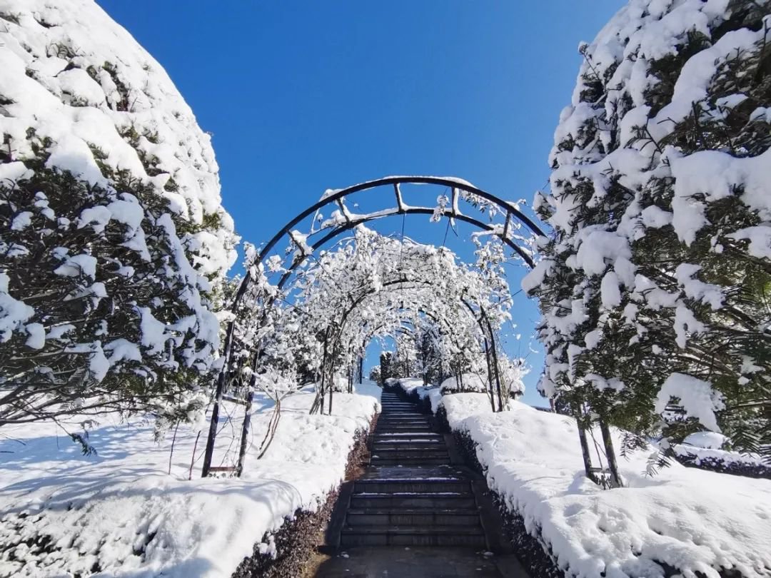 雪落玉龙，，，，三冬含暖。。。